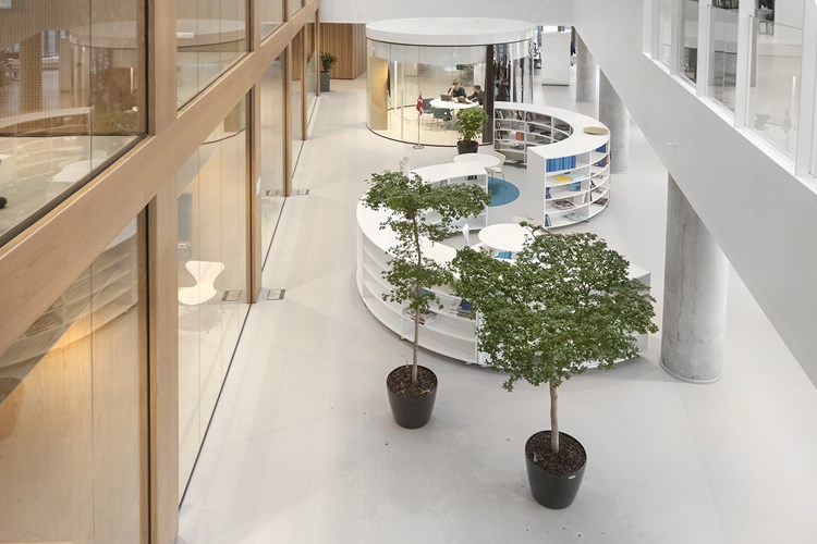 Bibliothèques d’entreprises